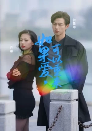 如果爱可以重来海报
