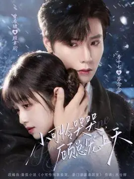 小可怜哭哭顾总宠上天海报