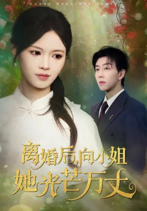 离婚后,向小姐她光芒万丈海报