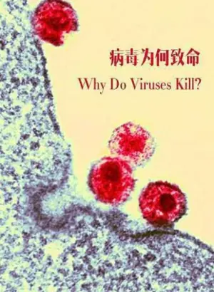 病毒为何致命海报