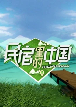 民宿里的中国精编版海报