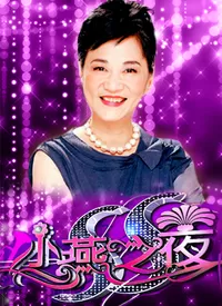 SS小燕之夜海报