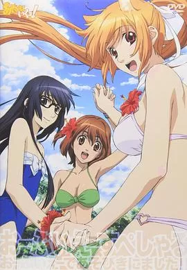 玩伴猫耳娘!OVA海报