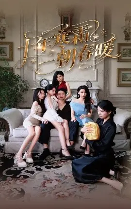 十年寒霜一朝春暖海报