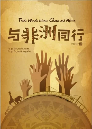 与非洲同行海报