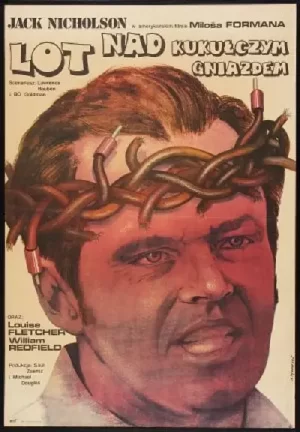 飞越喜鹊巢[影视解说]海报