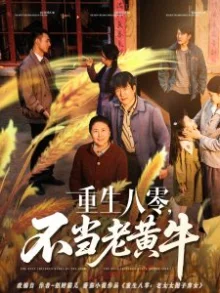 重生八零,不当老黄牛海报