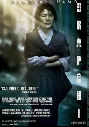 西藏的夜莺海报