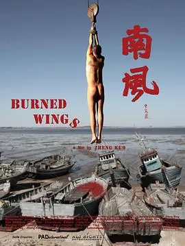 南风海报