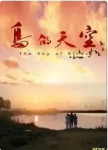 鸟的天空海报