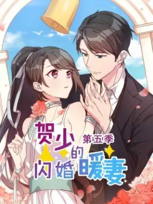 贺少的闪婚暖妻第五季海报