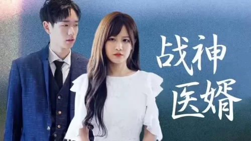 战神医婿海报