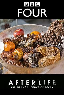 生命循环:奇异的腐烂科学海报