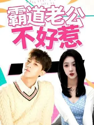 霸道老公不好惹海报
