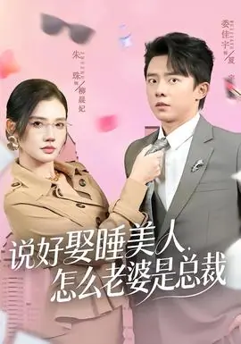 说好娶睡美人,怎么老婆是总裁海报