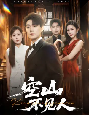 空山不见人海报