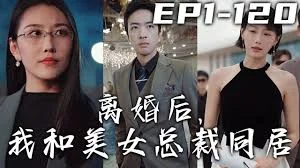 离婚后,我和美女总裁同居海报