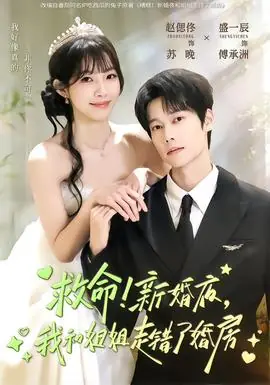 救命!新婚夜,我和姐姐走错了婚房海报
