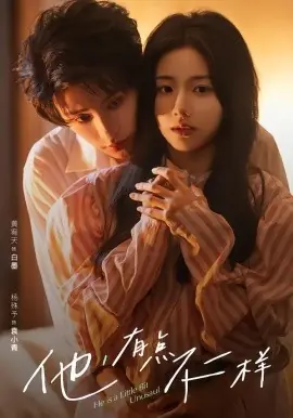 他!有点不一样海报