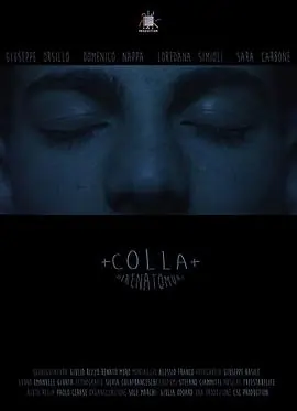 胶水Colla海报