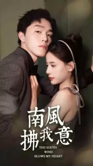 南风拂我意海报