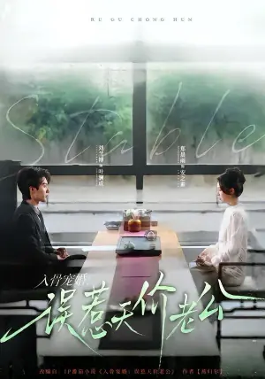 入骨宠婚:误惹天价老公海报