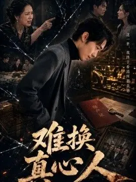 难换真心人海报