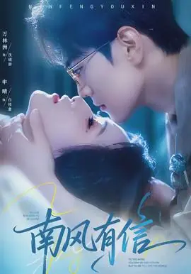 南风有信海报