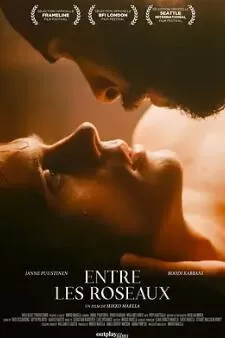 芦苇荡的时光海报