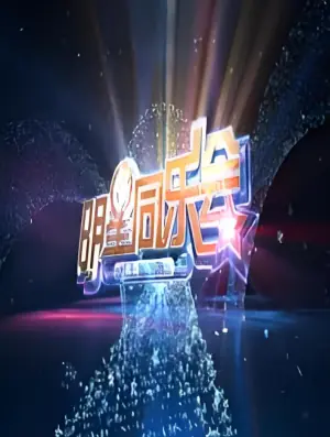 明星同乐会2014海报