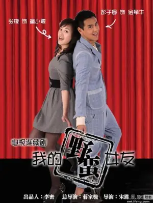 我的野蛮女友海报