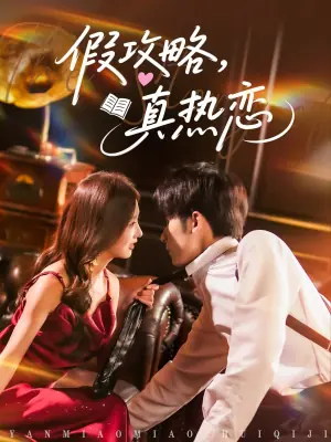 假攻略,真热恋海报