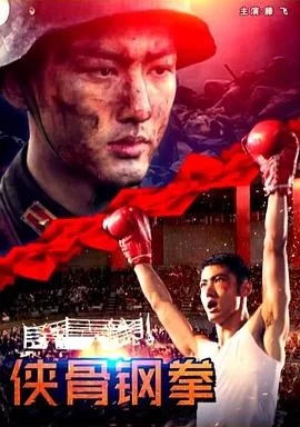 侠骨钢拳海报