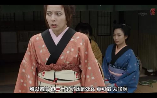 女忍者忍法贴萤火海报