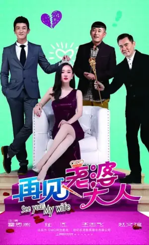 再见,老婆大人海报