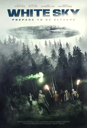 苍白天空海报