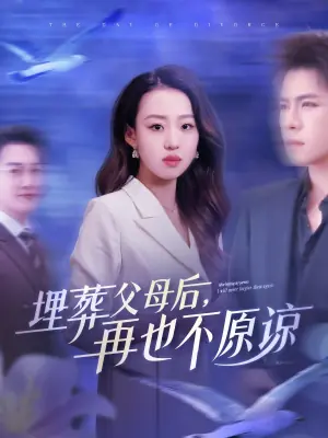 埋葬父母后,再也不原谅海报