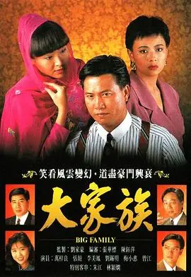 大家族(国语)海报