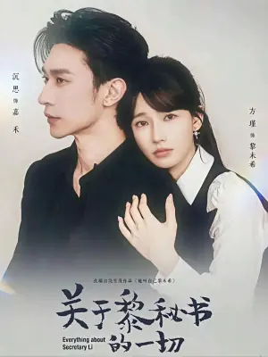 关于黎秘书的一切海报
