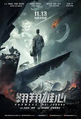翱翔雄心(国语)海报