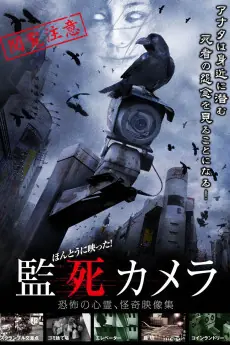 超自然记录海报