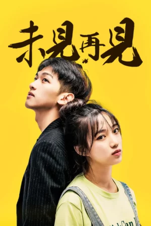 未见再见海报