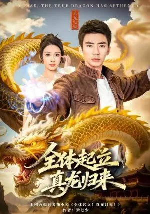 全体起立,真龙归来海报