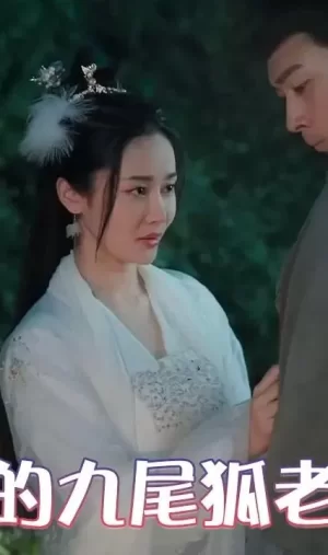 我的九尾狐老婆海报