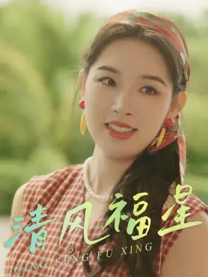 清风福星海报