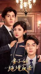 妻子的绝境反击海报