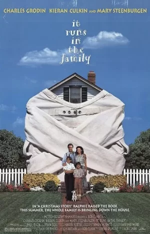 流浪赤子情海报