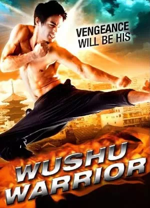 武术战士海报