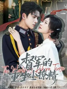 督军的重生小撩精海报