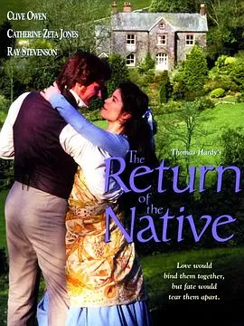 返乡记[电影解说]海报